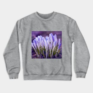 Violet Poetry of Spring Crewneck Sweatshirt